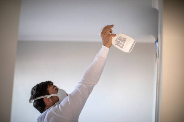 Attic Mold Removal in Monongah, WV