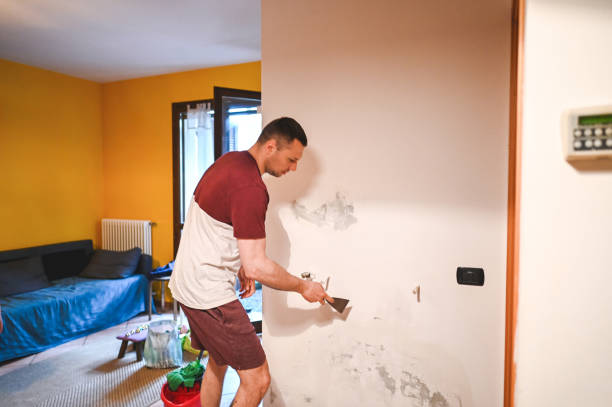 Best Attic Mold Removal  in Monongah, WV